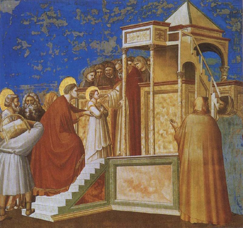 GIOTTO di Bondone Presentation of the Virgin in the Temple